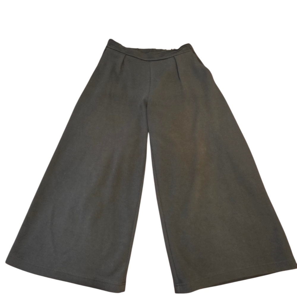 Banana Republic Green Pull-On Wide Leg Pleated Gaucho Pants Size S EUC